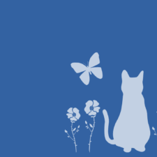 ホワイト羽川にゃん!